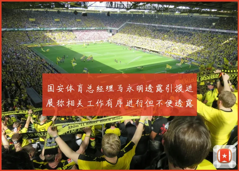 国安体育总经理马永明透露引援进展称相关工作有序进行但不便透露名字