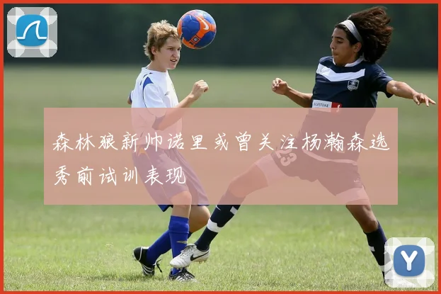 森林狼新帅诺里或曾关注杨瀚森选秀前试训表现